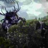 Ведьмак 3: The Wild Hunt станет самой яркой игрой на новых консолях
